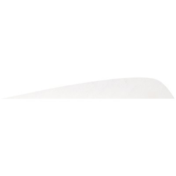 Empennage Gateway RW parabolique 3 pouces