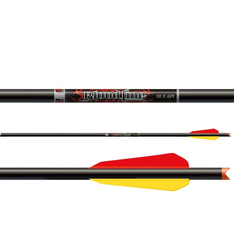 Traits d'arbal&egrave;te Easton Bloodline carbone 20 pouces (lot de 72)