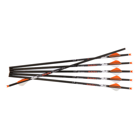Lot de 6 Fl&egrave;ches Ravin Crossbows LLC 500 grains 0.001