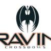 Logo ravin